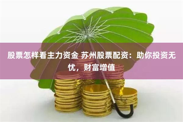 股票怎样看主力资金 苏州股票配资:助你投资无忧,财富增值